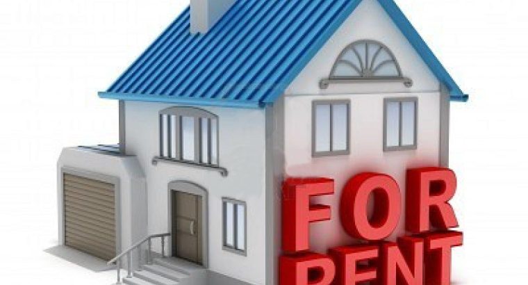 1 BHK Single Bed room Flat Available for Rent In H.M.T Chintal,Mahendranagar