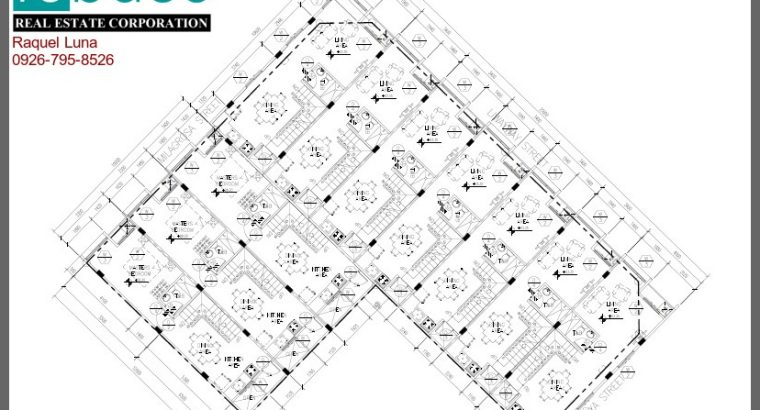 HOUSE AND LOT FOR SALE IN STA. ANA MANILA