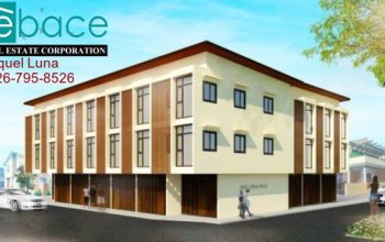 HOUSE AND LOT FOR SALE IN STA. ANA MANILA