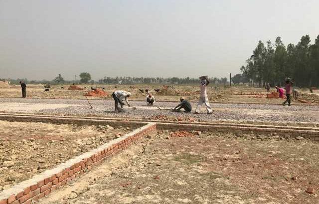 100% कैश बैक के साथ प्लेट खरीदने का मौका