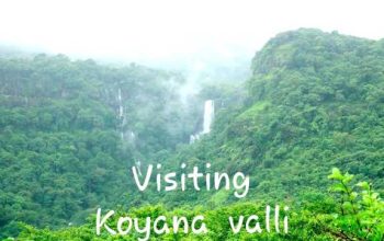 Farm House Ploots & Farm House For Sale