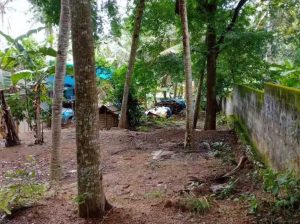 20 cent housing plot