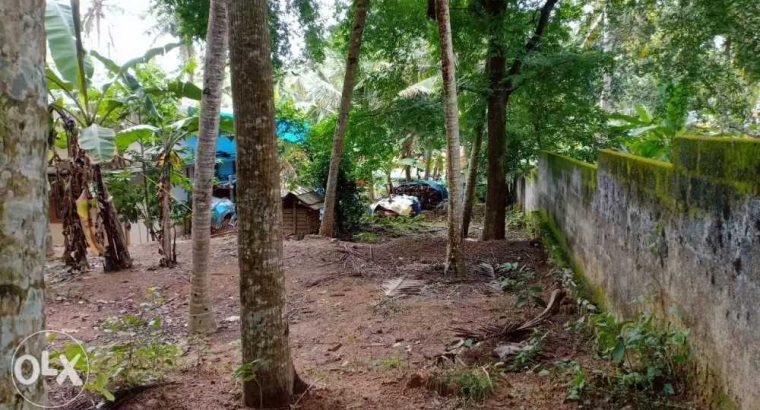 20 cent housing plot