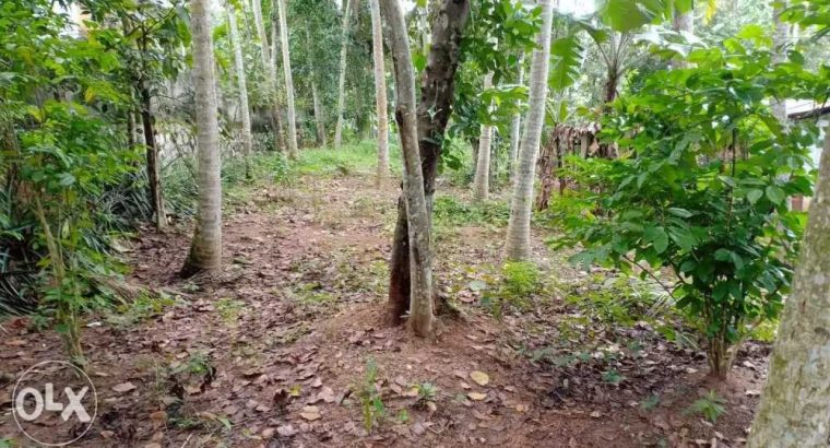 20 cent housing plot