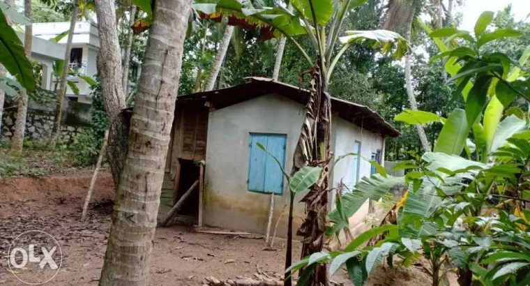 20 cent housing plot