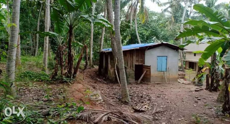 20 cent housing plot