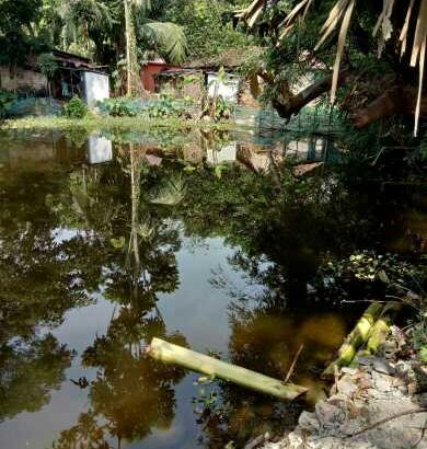 12kattha big pond sell only RS 18 lac