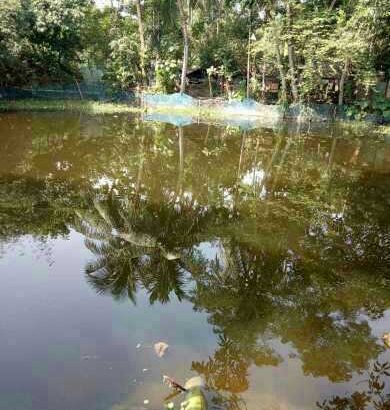 12kattha big pond sell only RS 18 lac