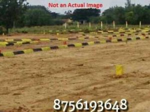 shine city real estate