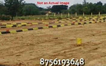 shine city real estate