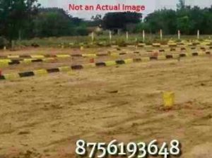 shine city 9517005957