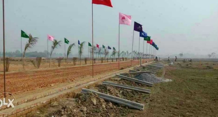 shine city 9517005957