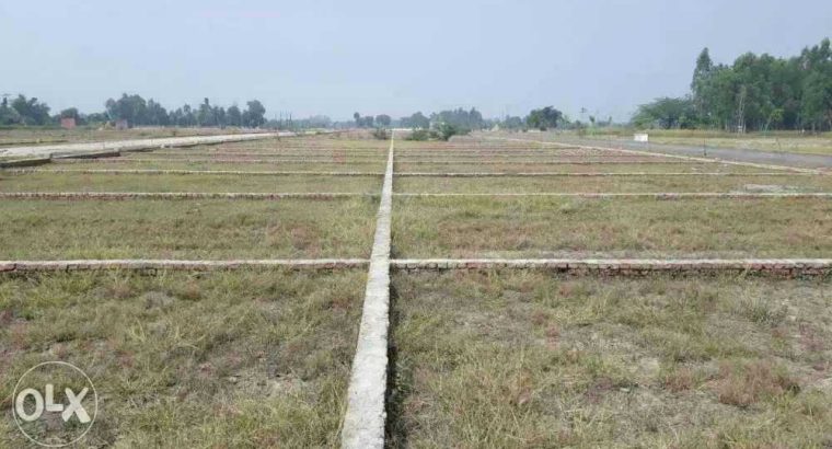 shine city 9517005957