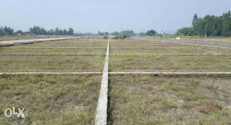 shine city 9517005957