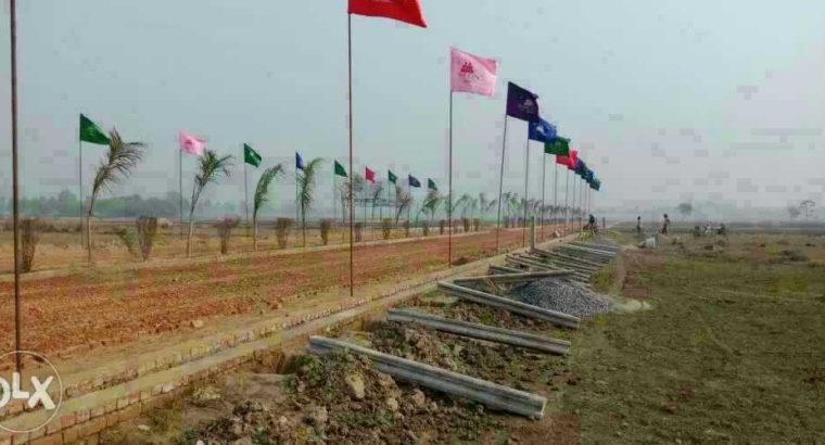 shine city 9517005957