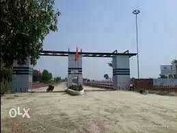 shine city 9517005957