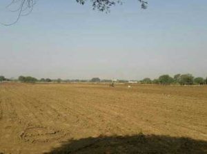 prelaunching project