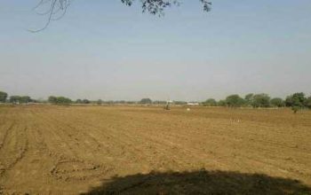 prelaunching project