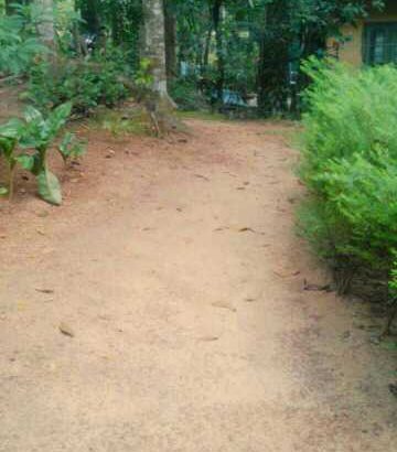 house with wooden sealing and 11.5 cent selling