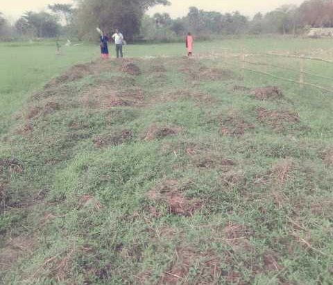 land for sale near Joka metro station only 1,70,000/- per katha