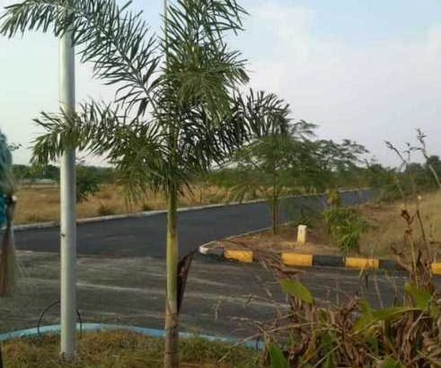 Invest Your money at Right place Just Give Your valuable 15min