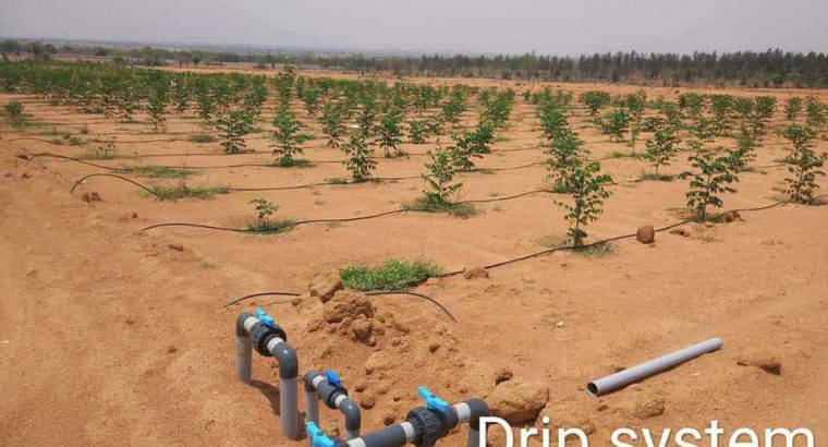 “SPACE VISION GREEN ACRES” FARM LAND — 1599/-  Per Sq Yd. in Hyderabad