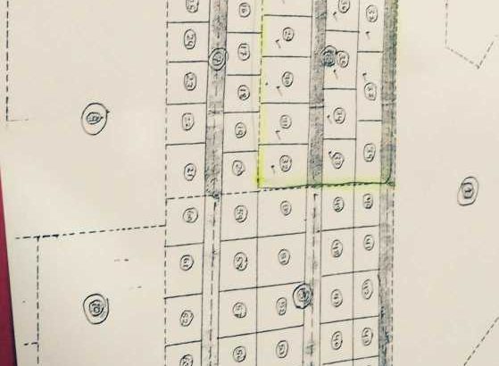 Gharabari plots sale at Balianta(Bhubaneswar)