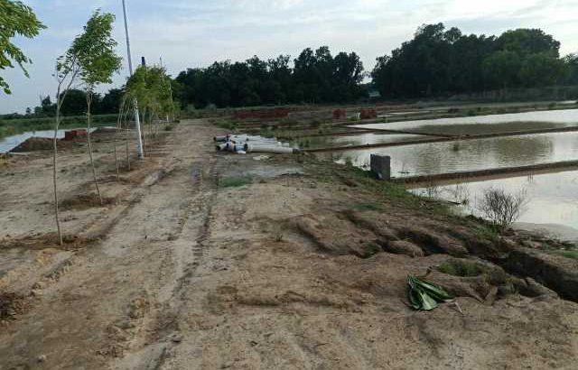 kalli pashchim Raibarely Road Lucknow