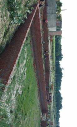 kalli pashchim Raibarely Road Lucknow