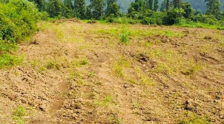 100-150 bigha Land available for Resorts, Homestay & farm House at Dhaulas Dehradun