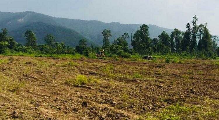 100-150 bigha Land available for Resorts, Homestay & farm House at Dhaulas Dehradun