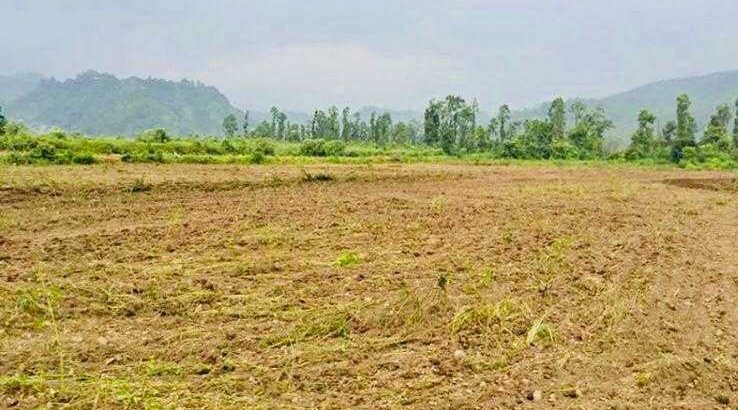 100-150 bigha Land available for Resorts, Homestay & farm House at Dhaulas Dehradun