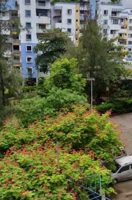 2 bhk flat for sale in wonder city