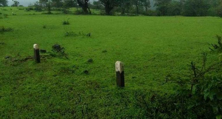 Resorts and Farm house plots