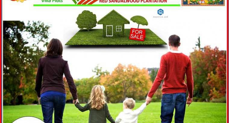 Nature nivas developers , bhongir municipality limits,near Teachers  colony