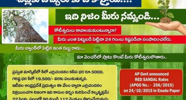 SVVC AGRO FARMS AND PROJECTS PVT LTD