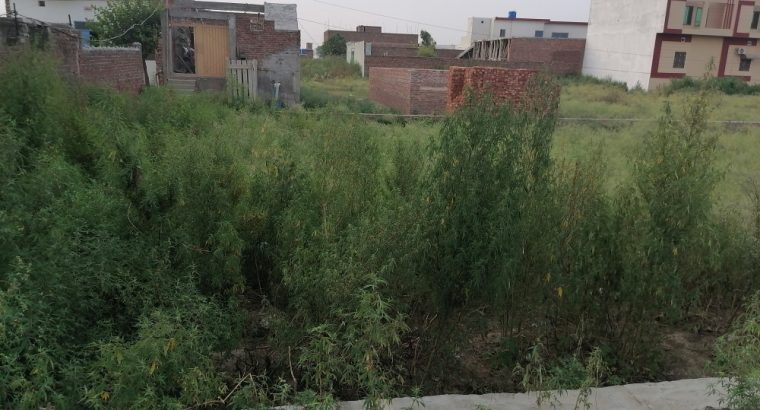 6 marla plot 55 fit front