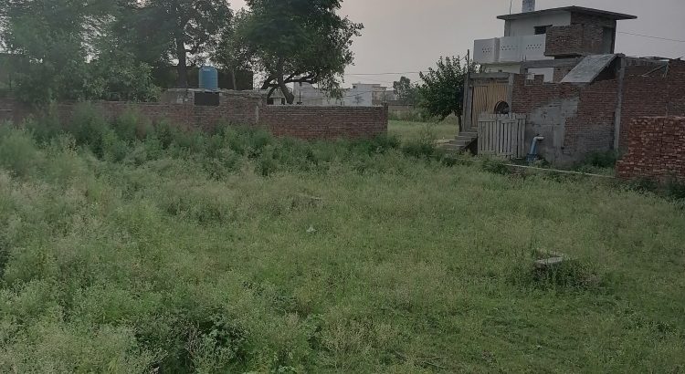 6 marla plot 55 fit front