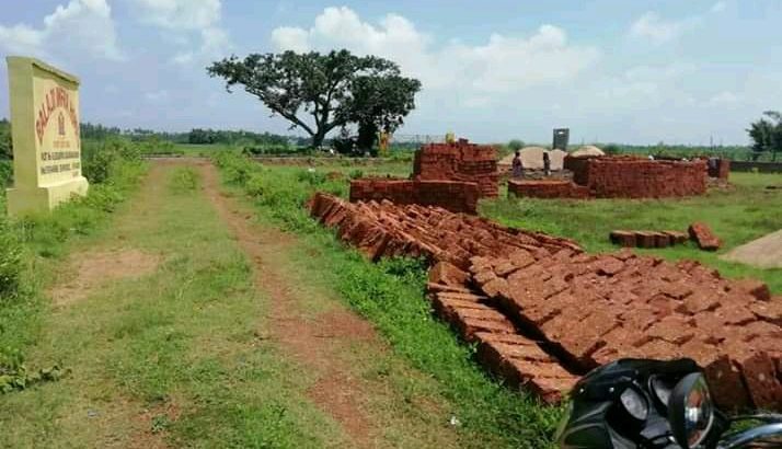 investment plot selling in patia