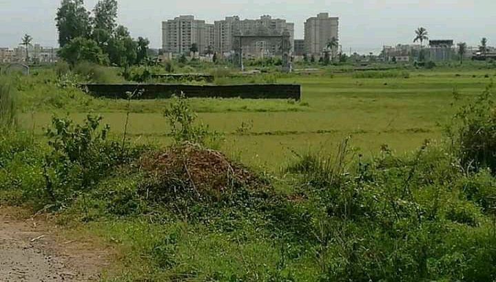 investment plot selling in patia