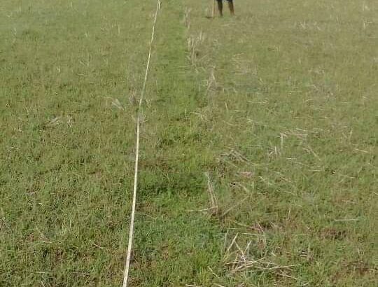 investment plot selling in patia