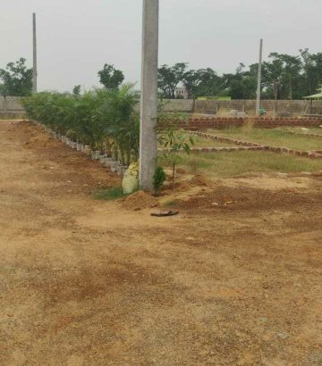 plot sale at ranga bazar