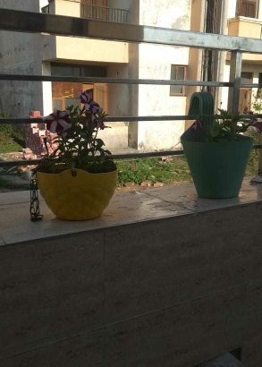 kothi 6 marla sale in derabassi.