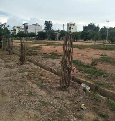 from  enrich properties  Abbigere