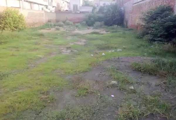 2 room and one back ground