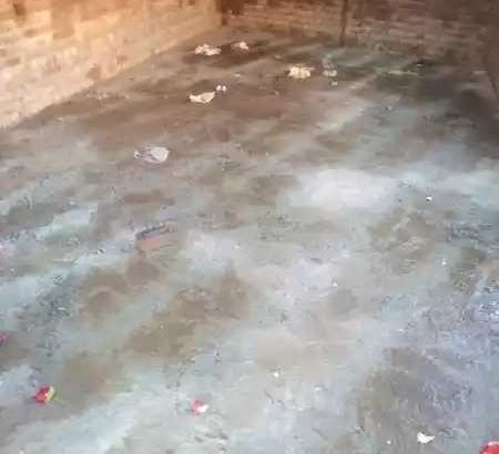 2 room and one back ground