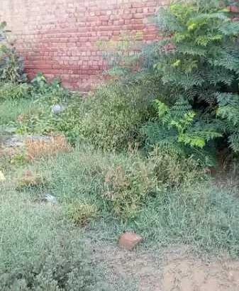 2 room and one back ground