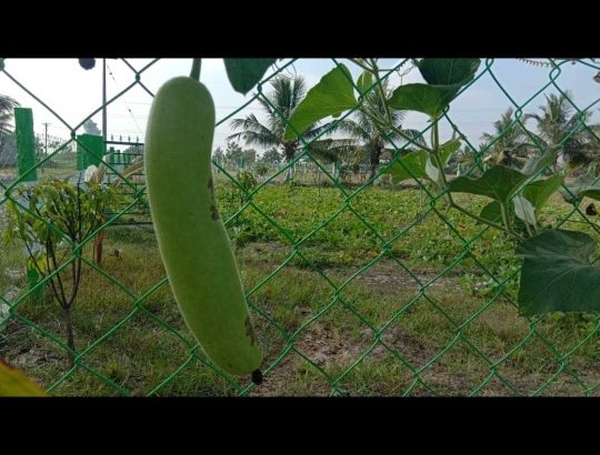 farmland  Uthermerru