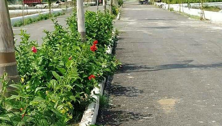 Dream house now in lucknow