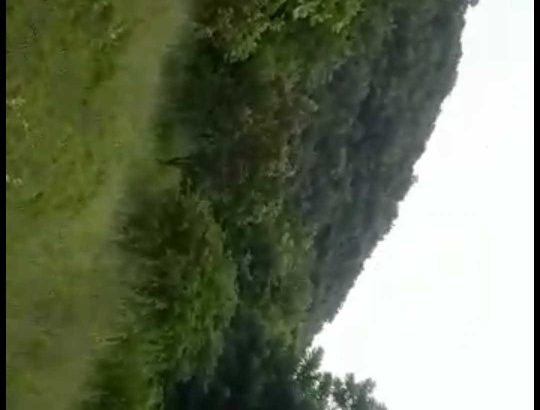 dapoli karda beach sea view open plot, 3.50 acres,